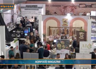 TG AGRIFOOD del 13 novembre – Nasce Frutech, fiera dedicata all’agricoltura – (Video)