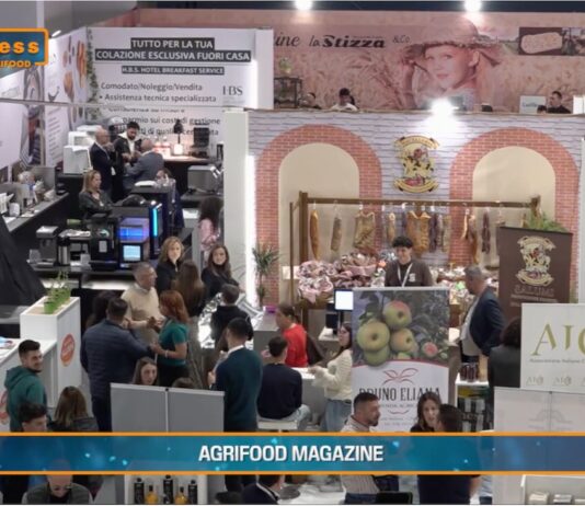 TG AGRIFOOD del 13 novembre – Nasce Frutech, fiera dedicata all’agricoltura – (Video)