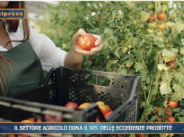 TG AGRIFOOD del 30 ottobre – Il settore agricolo dona il 34% delle eccedenze prodotte … – (Video)