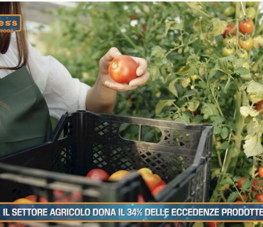 TG AGRIFOOD del 30 ottobre – Il settore agricolo dona il 34% delle eccedenze prodotte … – (Video)