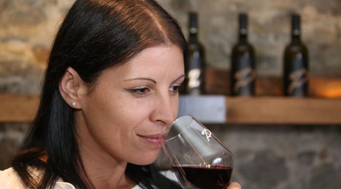 Reportage tra Vignaioli e Cantine del Burgraviato (13°)