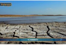 TG AMBIENTE del 24 novembre 2024 …Siccità, 112 milioni per le imprese agricole – (Video)