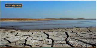 TG AMBIENTE del 24 novembre 2024 …Siccità, 112 milioni per le imprese agricole – (Video)