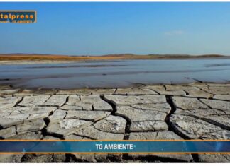 TG AMBIENTE del 24 novembre 2024 …Siccità, 112 milioni per le imprese agricole – (Video)