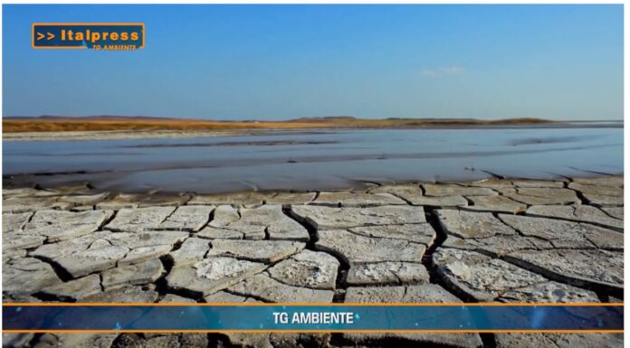 TG AMBIENTE del 24 novembre 2024 …Siccità, 112 milioni per le imprese agricole – (Video)