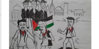 Domanda: quali sono le camicie nere?