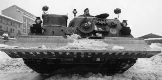 Nevica Governo ladro!