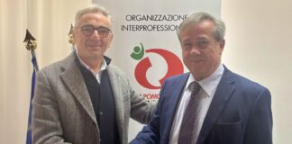 Giuseppe Romanini eletto presidente dell’OI Pomodoro da Industria Nord Italia per il triennio 2025-2027