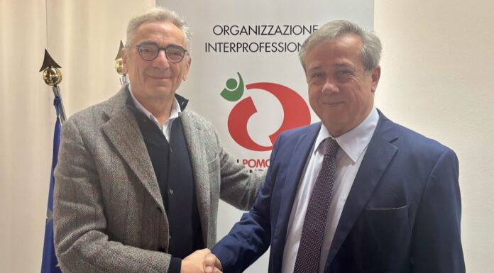 Giuseppe Romanini eletto presidente dell’OI Pomodoro da Industria Nord Italia per il triennio 2025-2027