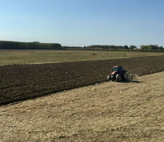UniCredit – Cia-Agricoltori Italiani, al via accordo quadro per il sostegno delle imprese associate