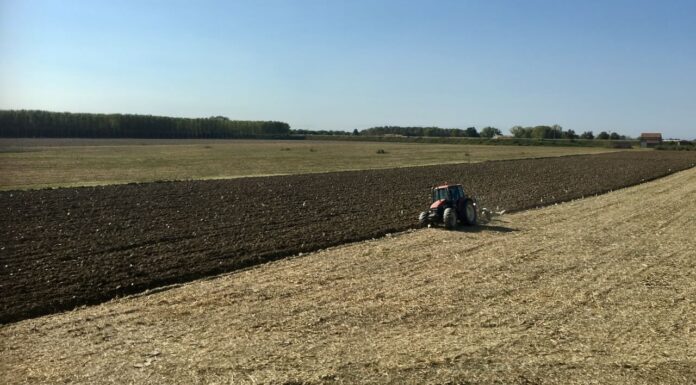 UniCredit – Cia-Agricoltori Italiani, al via accordo quadro per il sostegno delle imprese associate