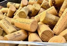 Vignaioli Indipendenti a Bologna, il piacere di un viaggio enologico