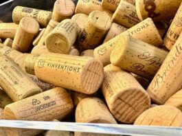 Vignaioli Indipendenti a Bologna, il piacere di un viaggio enologico