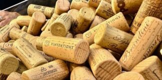 Vignaioli Indipendenti a Bologna, il piacere di un viaggio enologico