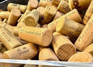 Vignaioli Indipendenti a Bologna, il piacere di un viaggio enologico