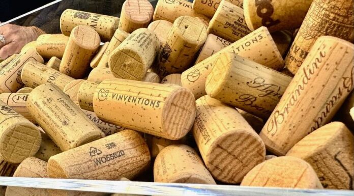 Vignaioli Indipendenti a Bologna, il piacere di un viaggio enologico