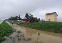Grazie alle somme urgenze finanziate dalla Bonifica Parmense subito la sistemazione degli argini danneggiati dal maltempo