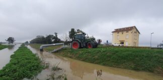 Grazie alle somme urgenze finanziate dalla Bonifica Parmense subito la sistemazione degli argini danneggiati dal maltempo
