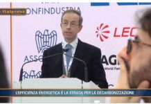 TG AMBIENTE del 15 dicembre 2024 …- L’efficienza energetica è la strada per la decarbonizzazione – (Video)