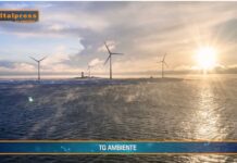 TG AMBIENTE del 1 dicembre  2024 …Italia in ritardo su impianti a fonti rinnovabili – (Video)