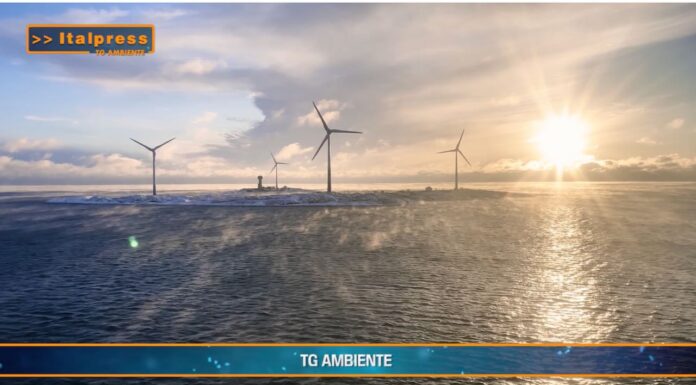 TG AMBIENTE del 1 dicembre 2024 …Italia in ritardo su impianti a fonti rinnovabili – (Video)