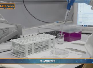 TG AMBIENTE del 22 dicembre 2024 …- Arrivano i ‘ghostbuster’ per trovare le nanoplastiche nei mari e nei fiumi – (Video)