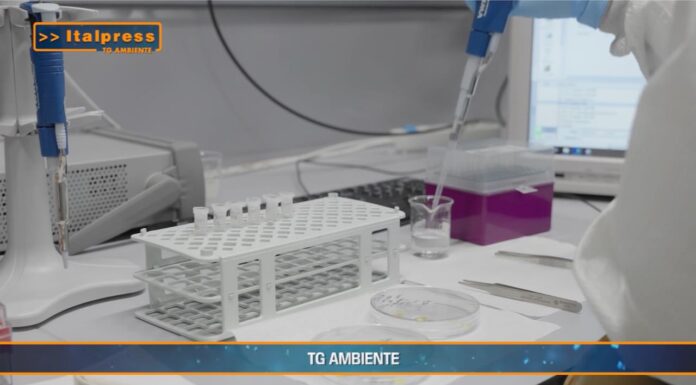 TG AMBIENTE del 22 dicembre 2024 …- Arrivano i ‘ghostbuster’ per trovare le nanoplastiche nei mari e nei fiumi – (Video)