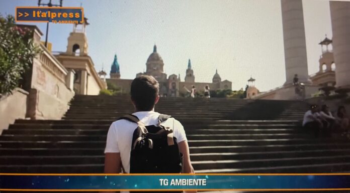 TG AMBIENTE del 8 dicembre 2024 …Il turismo sostenibile raggiungerà i 9 mld di dollari entro il 2031 – (Video)