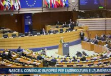 TG AGRIFOOD del 11 dicembre – Europa, dalla Bei 3 miliardi finanziamenti per l’agricoltura (Video)
