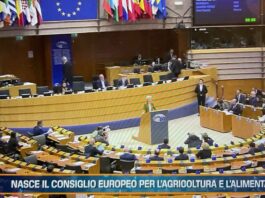 TG AGRIFOOD del 11 dicembre – Europa, dalla Bei 3 miliardi finanziamenti per l’agricoltura (Video)