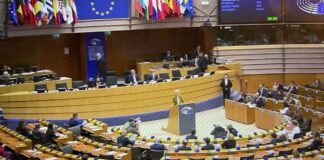 TG AGRIFOOD del 11 dicembre – Europa, dalla Bei 3 miliardi finanziamenti per l’agricoltura (Video)