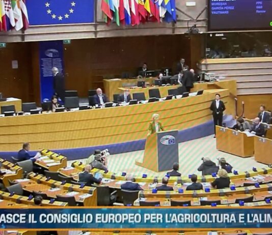 TG AGRIFOOD del 11 dicembre – Europa, dalla Bei 3 miliardi finanziamenti per l’agricoltura (Video)