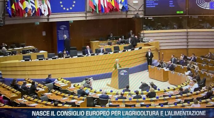 TG AGRIFOOD del 11 dicembre – Europa, dalla Bei 3 miliardi finanziamenti per l’agricoltura (Video)