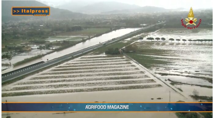 TG AGRIFOOD del 18 dicembre. Dall’Ue 167 milioni di euro di aiuti per le imprese colpite dalle alluvioni- (Video)