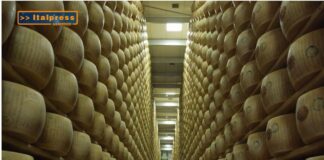 TG AGRIFOOD del 4 dicembre – Agromafie, irregolare il 30% del lavoro in agricoltura (Video)