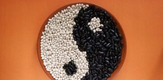Yin e Yang: il principio dell’equilibrio nella Medicina tradizionale cinese