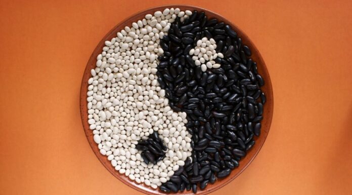 Yin e Yang: il principio dell’equilibrio nella Medicina tradizionale cinese
