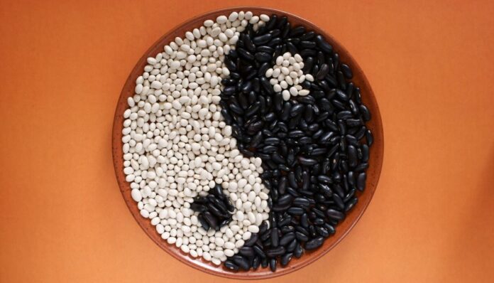 COPERTINE ARTIOCLI - 11