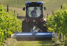 Segnali di miglioramento nell’indice del clima economico (CEMA)