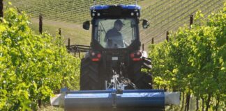 Segnali di miglioramento nell’indice del clima economico (CEMA)