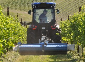 Segnali di miglioramento nell’indice del clima economico (CEMA)