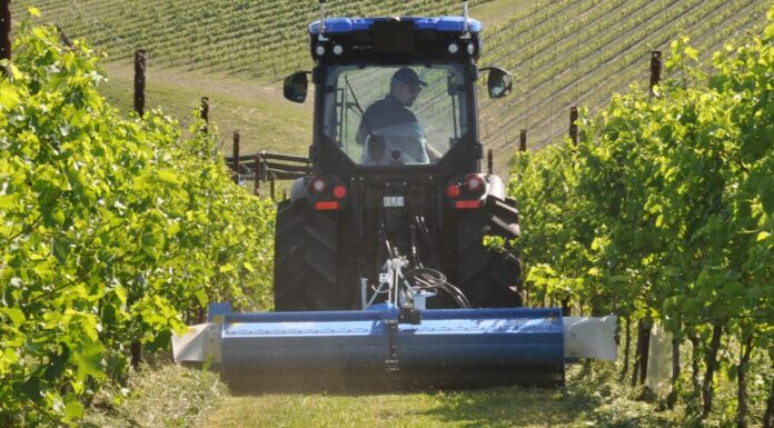 Segnali di miglioramento nell’indice del clima economico (CEMA)