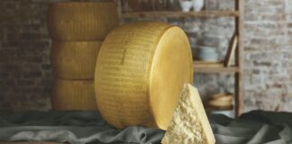 Il Consorzio Del Parmigiano Reggiano seleziona l’agenzia Di comunicazione Hopscotch Network per il progetto di promozione in Australia nel triennio 2026-2028