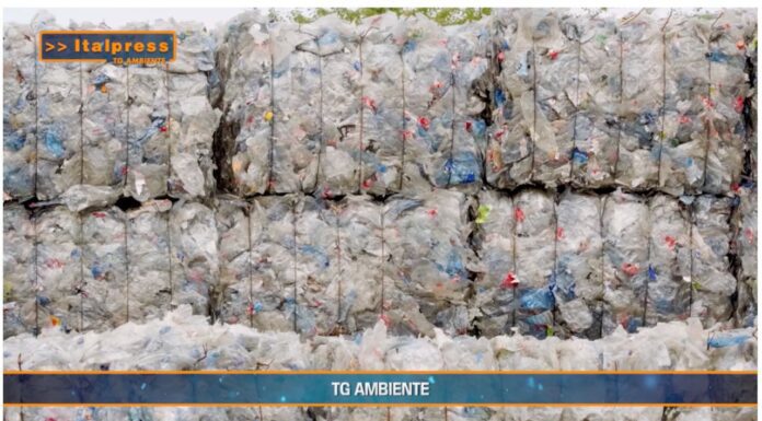 TG AMBIENTE del 29 dicembre 2024 …- L’Italia si conferma leader europeo del riciclo – (Video)