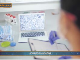 TG AGRIFOOD del 8 gennaio 2025 – Microplastiche, nuovo studio su pesci e crostacei (Video)