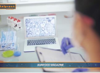 TG AGRIFOOD del 8 gennaio 2025 – Microplastiche, nuovo studio su pesci e crostacei (Video)