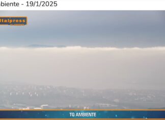 TG AMBIENTE del 19 gennaio 2025 …- Le città europee sono ancora troppo inquinate – (Video)