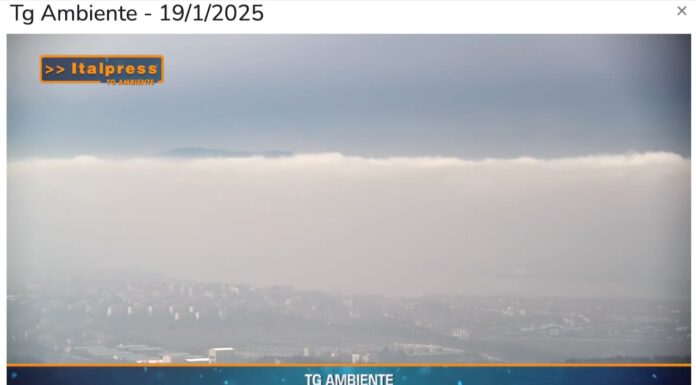 TG AMBIENTE del 19 gennaio 2025 …- Le città europee sono ancora troppo inquinate – (Video)
