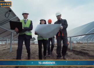 TG AMBIENTE del 5 gennaio 2025 …- Rinnovabili, aiuti per 9,7 miliardi dall’Unione europea – (Video)