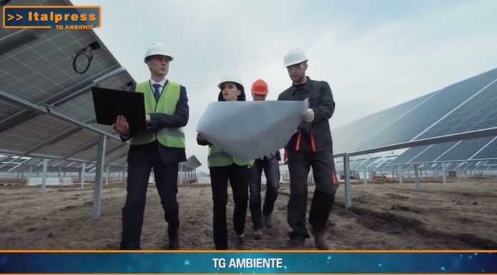 TG AMBIENTE del 5 gennaio  2025 …-  Rinnovabili, aiuti per 9,7 miliardi dall’Unione europea  – (Video)